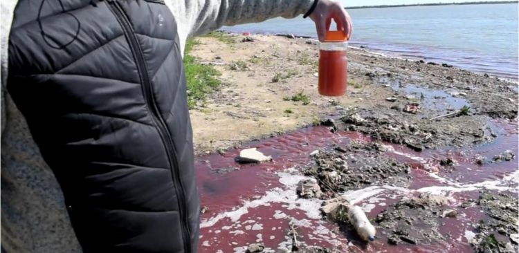 Muestra de agua contaminada del río Paraná