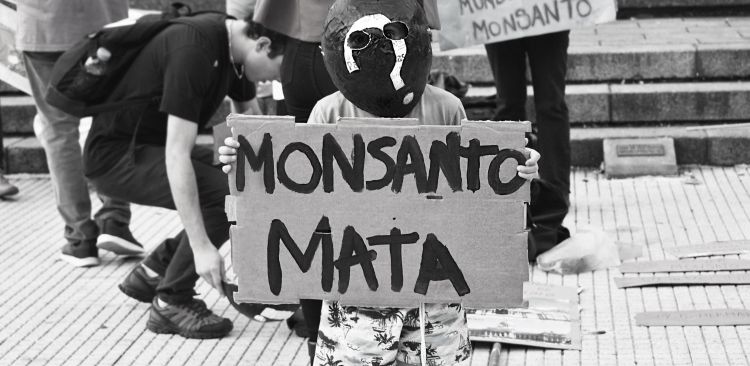 Monsanto mata Foto:María Chutt